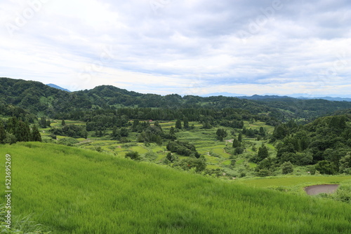 Wallpaper Mural 日本の原風景ｉｎ新潟県 Torontodigital.ca