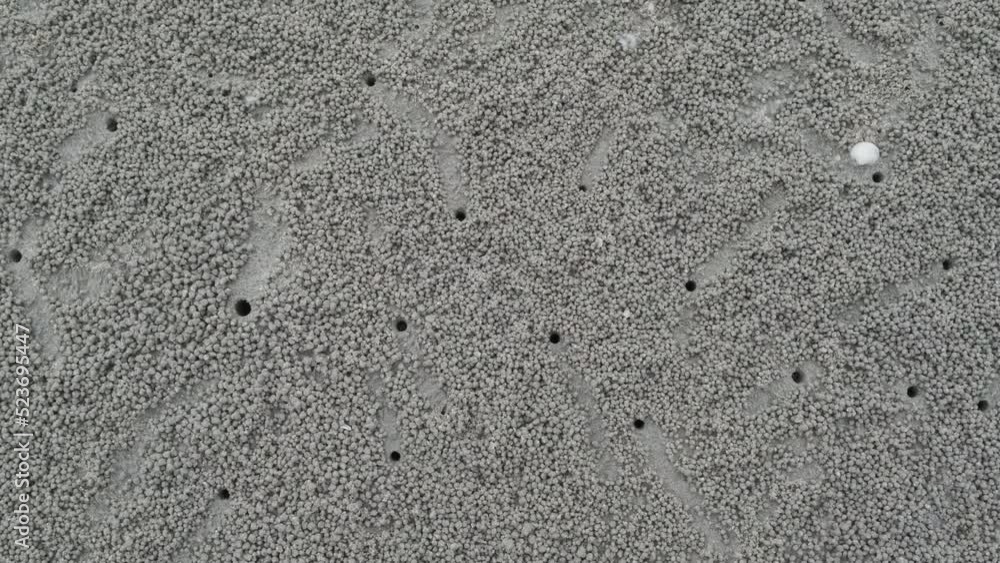 Crabs holes on beach sand, view from above. Ghost crab making sand balls on the beach. Home of a Ghost crab Crabs holes on beach sand, view from above. Ghost crab making sand balls on the beach. Home of a Ghost crab