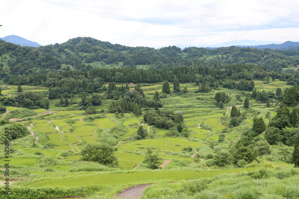 日本の原風景ｉｎ新潟県