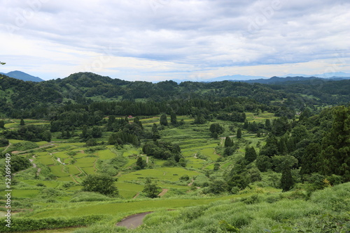 日本の田風景ｉｎ新潟県