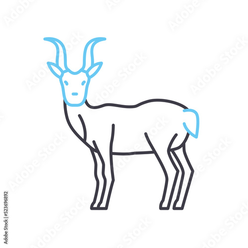 antilope line icon, outline symbol, vector illustration, concept sign