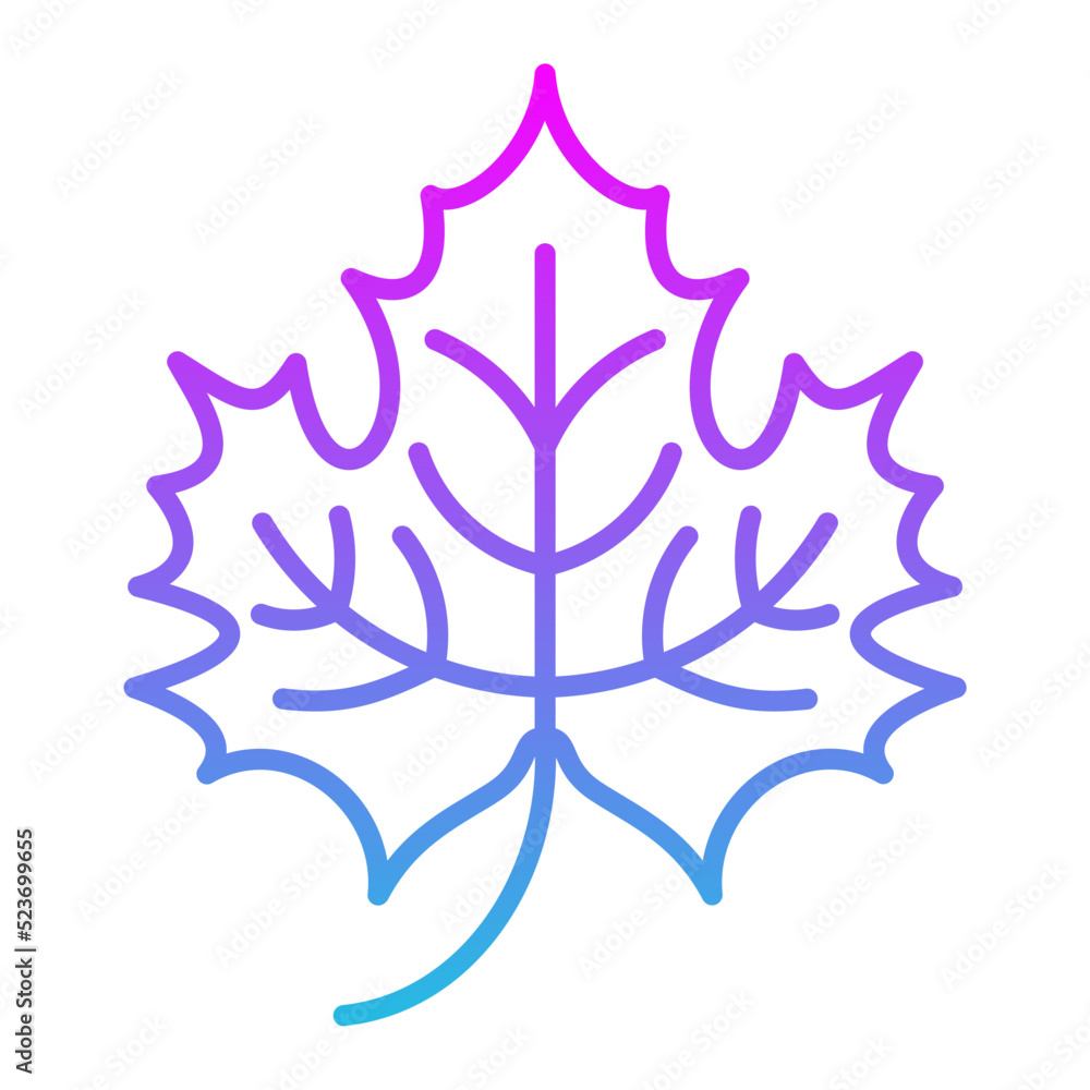 Fototapeta premium Maple Leaf Line Gradient Icon