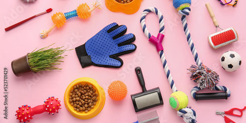 Different pet accessories o...