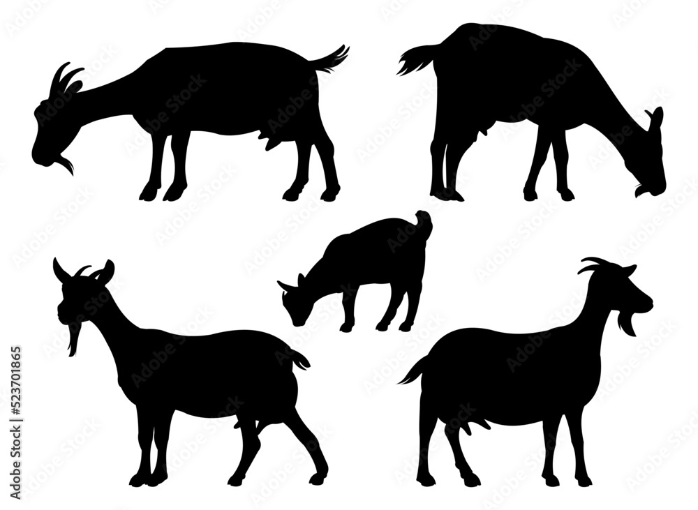 Set of Goats grazing. Picture silhouette. Farm pets. Animals for milk and dairy products. Isolated on white background. Vector