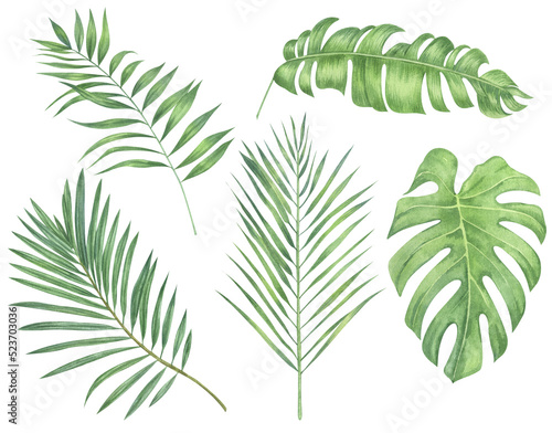 Watercolor tropical leaves. Watercolor hand painted tropical leaves and plants. Trendy Green jungle foliage clip art perfect for summer wedding invitation and party card making 