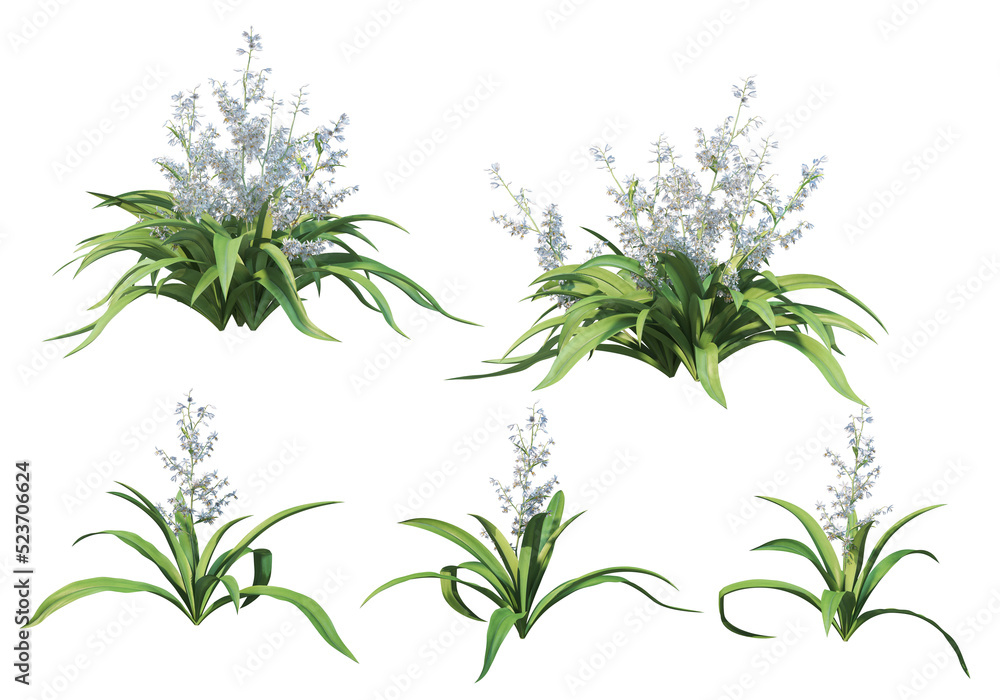 Flowers on a transparent background
Flowers on a transparent background