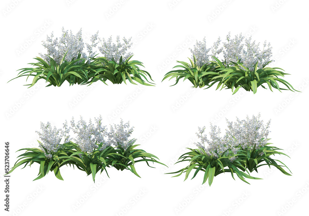 Flowers on a transparent background
Flowers on a transparent background