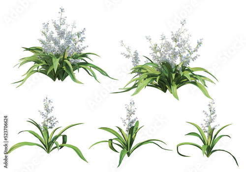 Flowers on a transparent background 