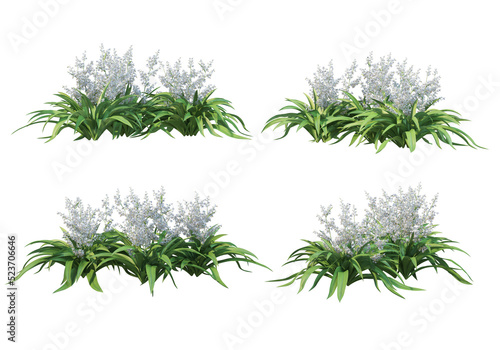 Flowers on a transparent background 