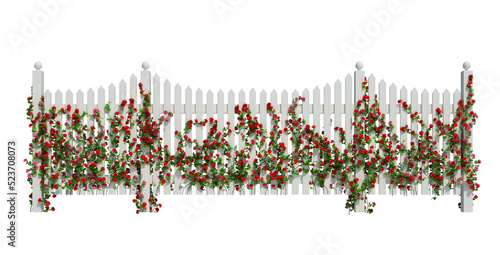 3d Render Ivy Plants Isolated  on white