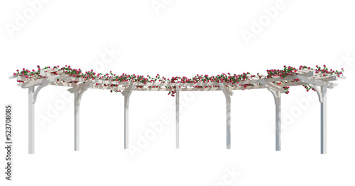 3d Render Ivy Plants Isolated  on white