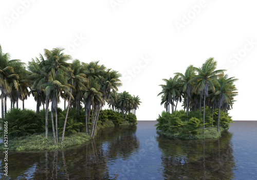 coconut garden on a transparent background 