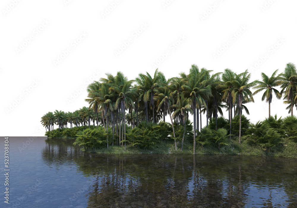 coconut garden on a transparent background
