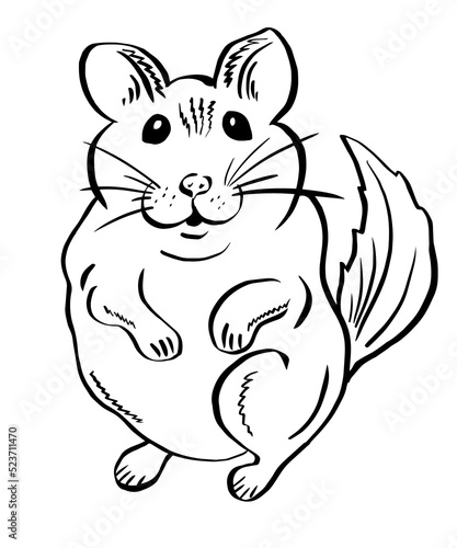 Cute funny chinchilla for stickers. Hand drawn rodent: mouse, hamster or chinchilla.