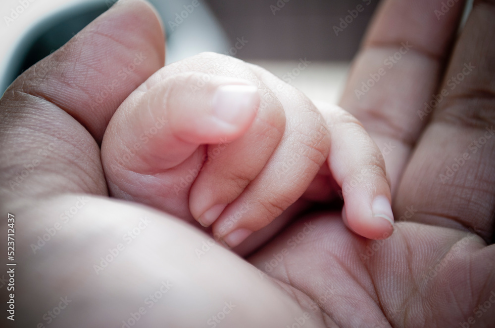 Hands of Love Hands of Love