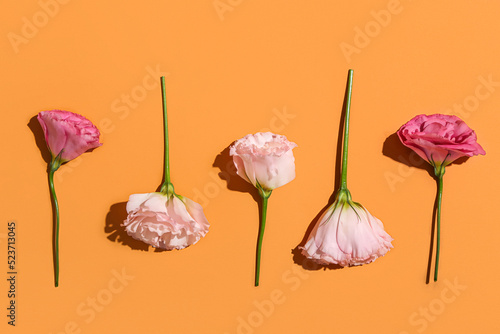 Beautiful pink flowers on o...