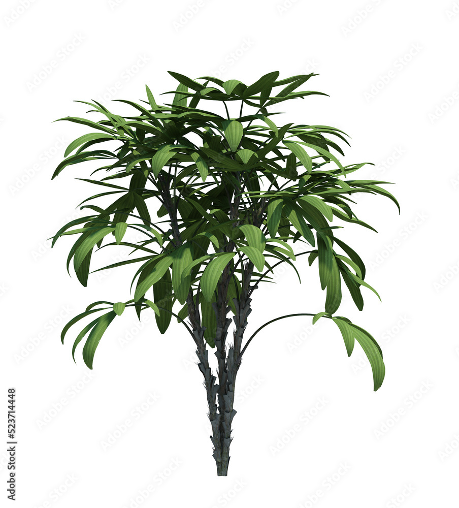 3d Render Brush Tree Isolated  on white