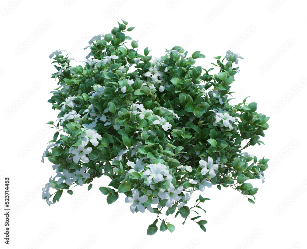 Obraz premium 3d Render Brush Tree Isolated on white