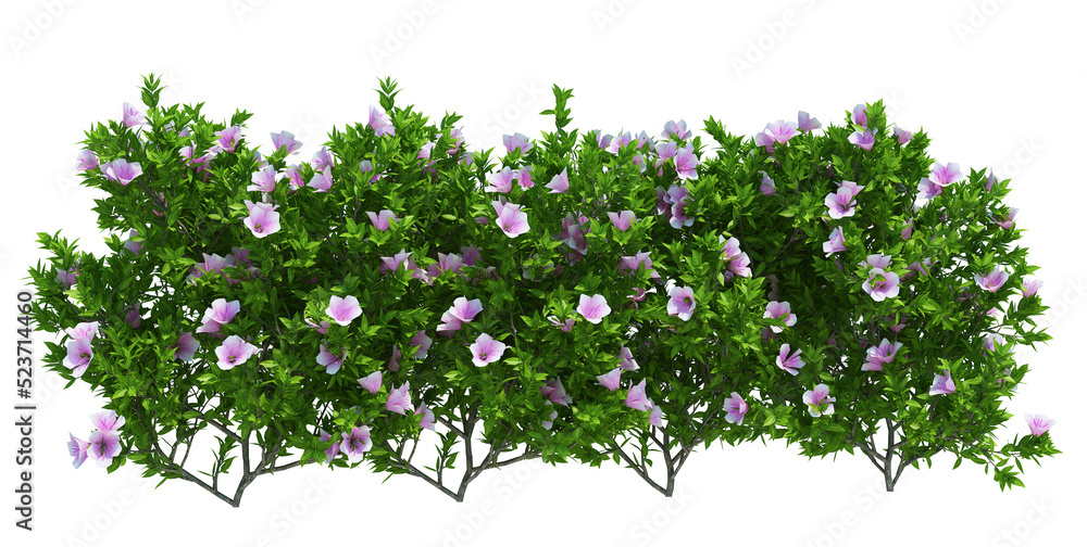 3d Render Brush Tree Isolated on white 3d Render Brush Tree Isolated on white