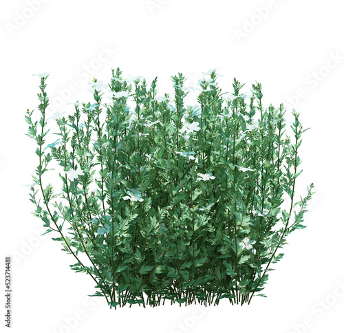 3d Render Brush Tree Isolated  on white