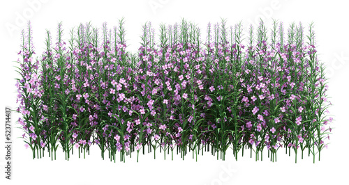 3d Render Brush Tree Isolated  on white