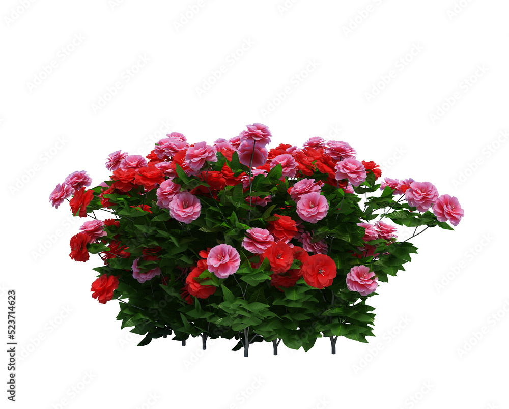 3d Render Brush Tree Isolated on white 3d Render Brush Tree Isolated on white