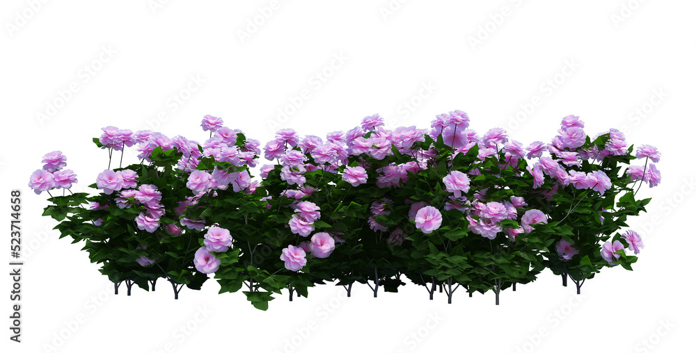 3d Render Brush Tree Isolated on white 3d Render Brush Tree Isolated on white
