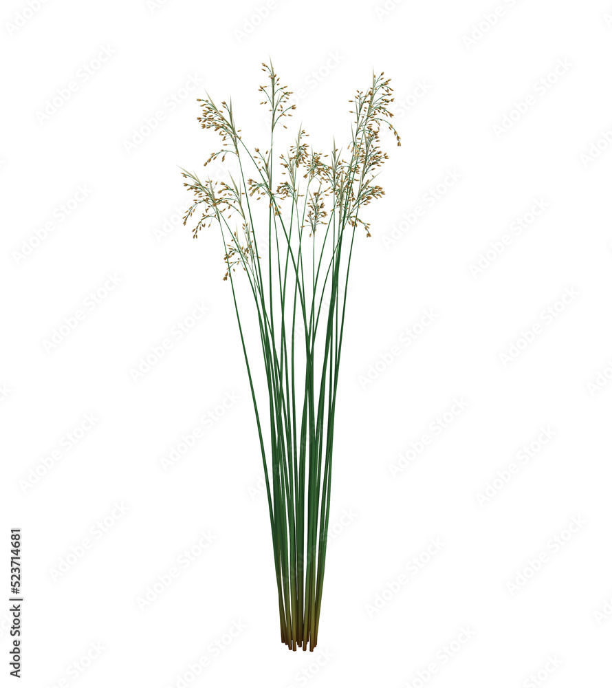 3d Render Brush Tree Isolated on white 3d Render Brush Tree Isolated on white