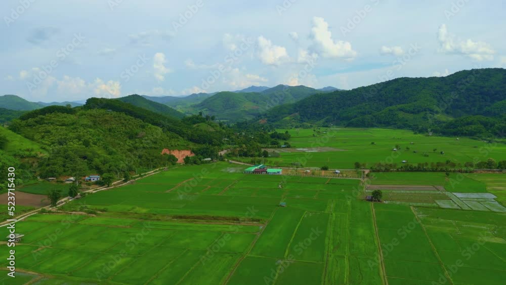 4K Video Aerial shot from drone green farm pattern view in northern of Thailand. 4K Video Aerial shot from drone green farm pattern view in northern of Thailand.