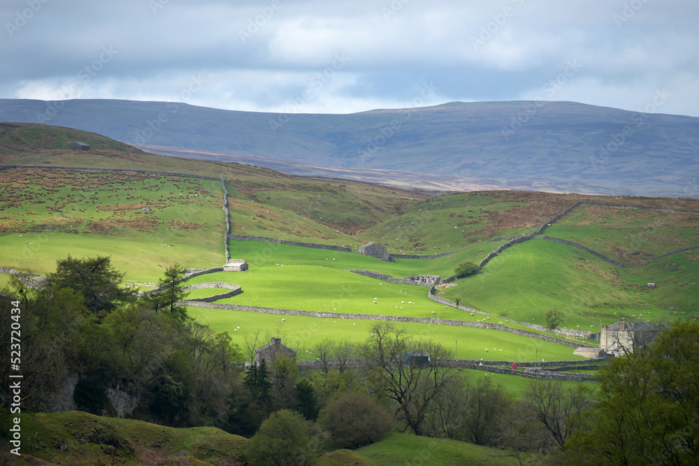Fields in Upper Swaledale in Yorkshire Dales National Park