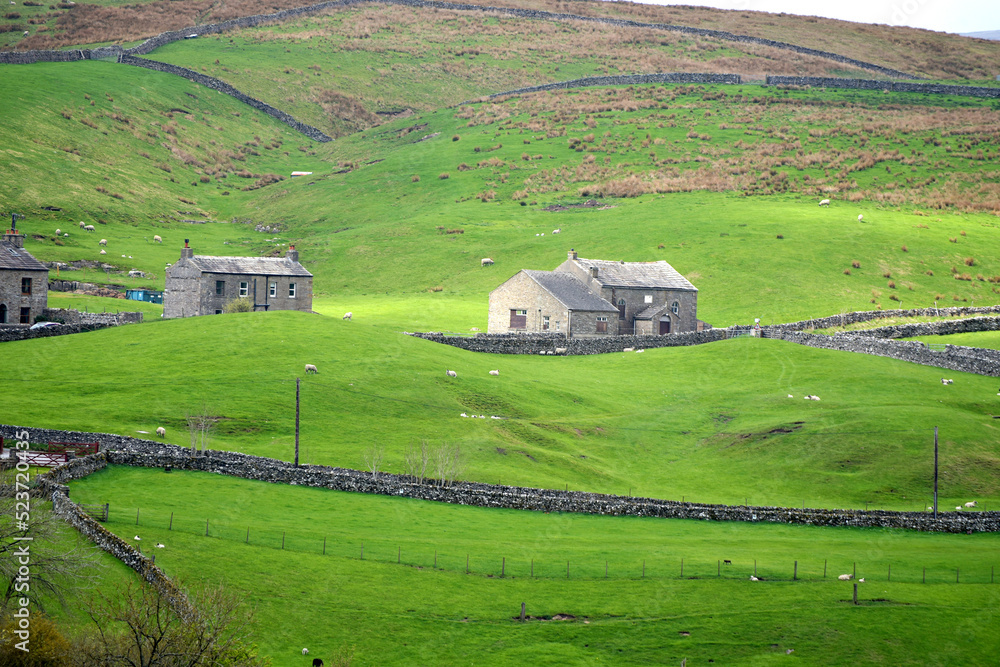 Fields in Upper Swaledale in Yorkshire Dales National Park