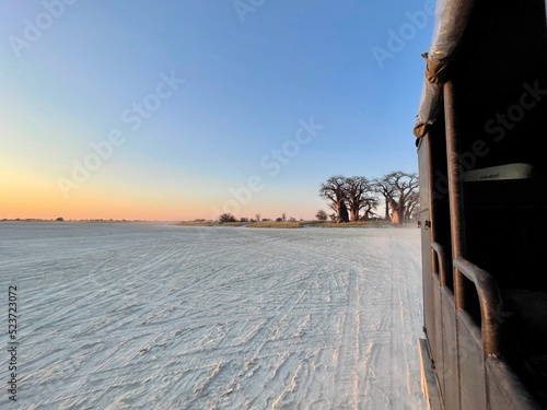 Abendstimmung in Dämmerung in Wüste in Afrika in Botswana in Salzpfanne Nxai Pan und Makgadikgadi Nationalpark mit Baobab Affenbrotbaum