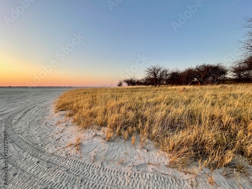 Abendstimmung in Dämmerung in Wüste in Afrika in Botswana in Salzpfanne Nxai Pan und Makgadikgadi Nationalpark