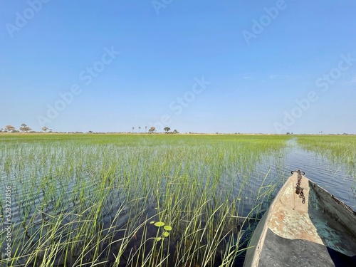 Auf dem Mokoro auf Safari in Afrika im Okavango Delta in Botswana