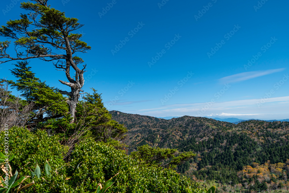 風景, 自然, 空, 山