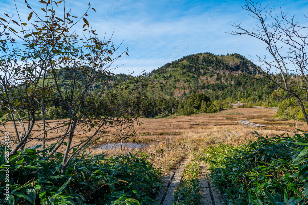 Obraz premium 風景, 自然, 秋, 空, 木, 山