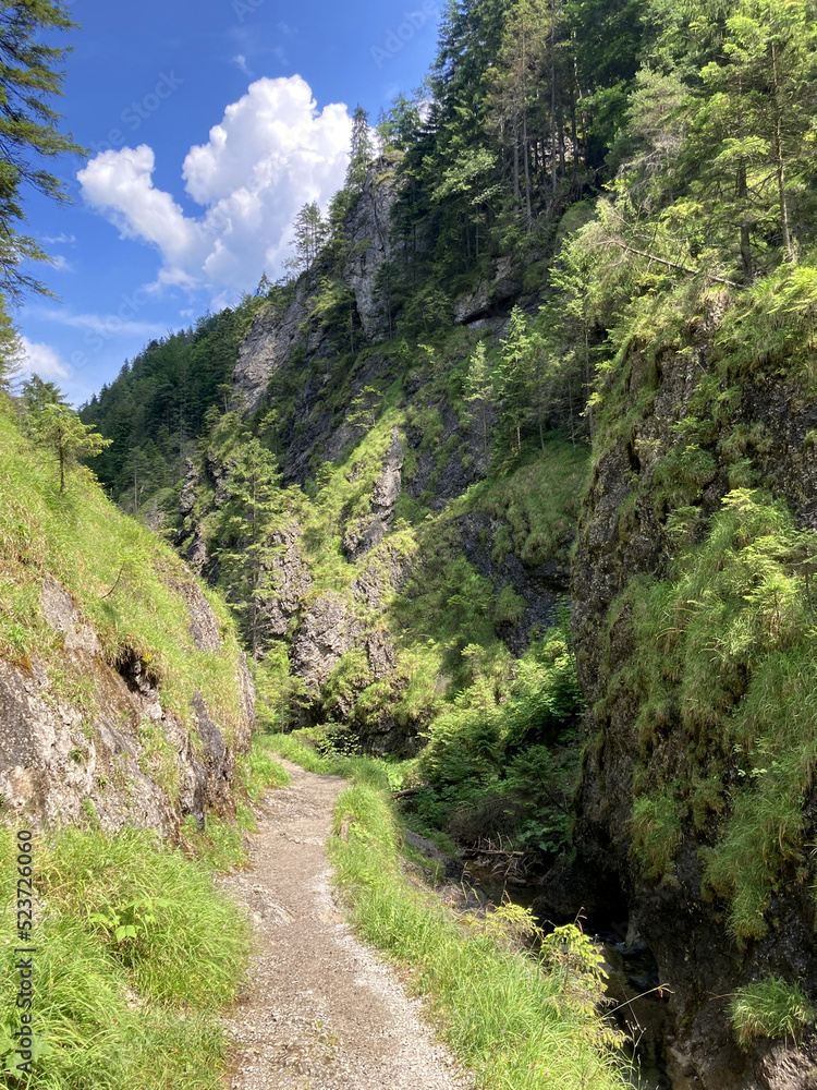 Mountain landscape in the Juranova dolina - valley in The Western Tatras, the Tatra National Park, Slovakia, Europe.