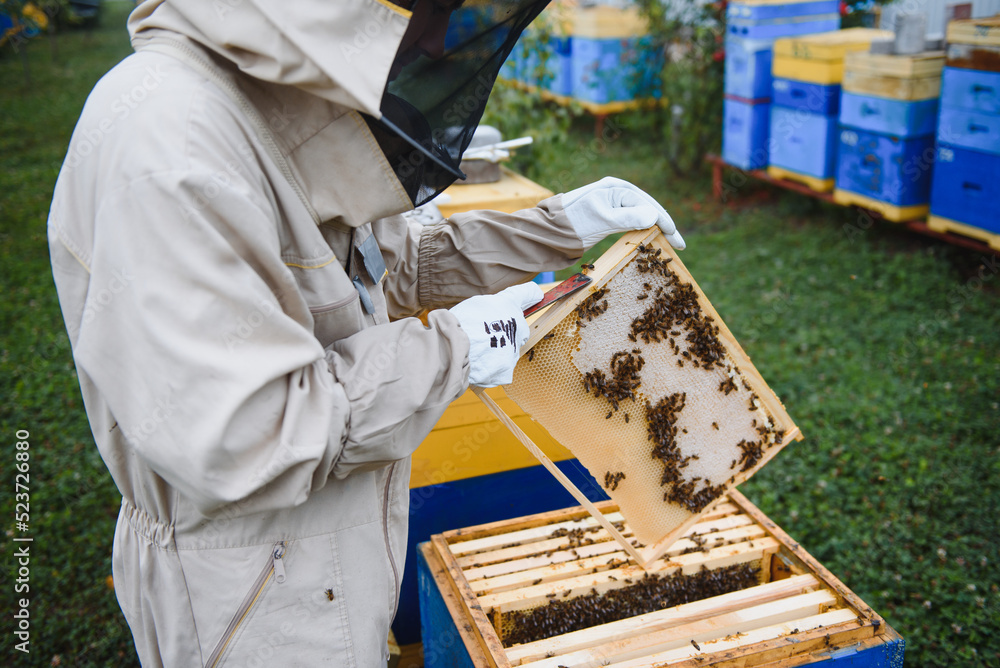 Beekeeping, beekeeper at work, bees in flight. Beekeeping, beekeeper at work, bees in flight.