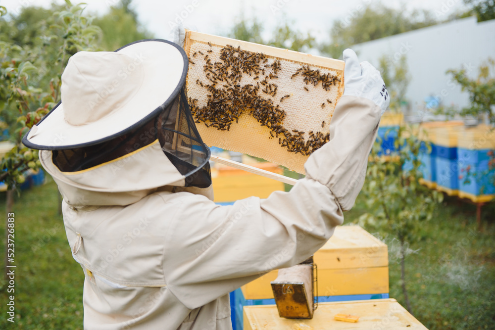Beekeeping, beekeeper at work, bees in flight. Beekeeping, beekeeper at work, bees in flight.