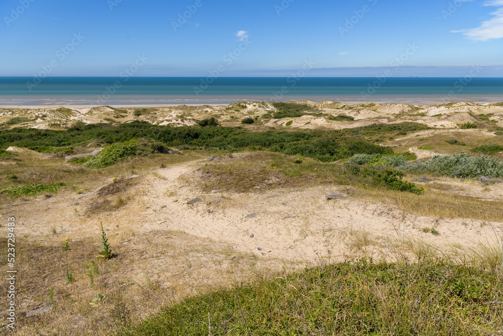 Dunes near Hardelot on a sunny day in summer