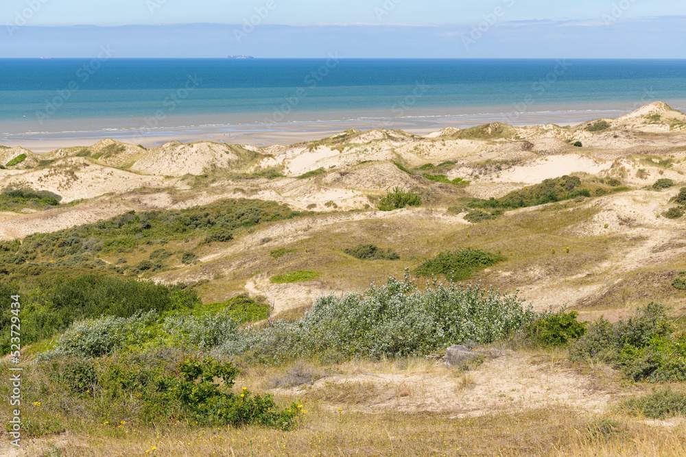Dunes near Hardelot on a sunny day in summer Dunes near Hardelot on a sunny day in summer
