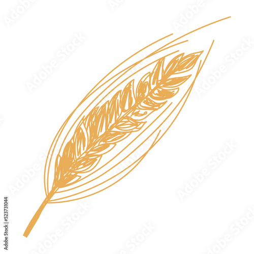 Ear of wheat sketch. Hand drawn vector illustration. Pen or marker doodle plant