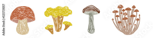 Mushrooms set. Boletus edulis, chanterelle, boletus and cantharellus cibarius. Hand drawn vector illustration. Pen or marker doodle sketch