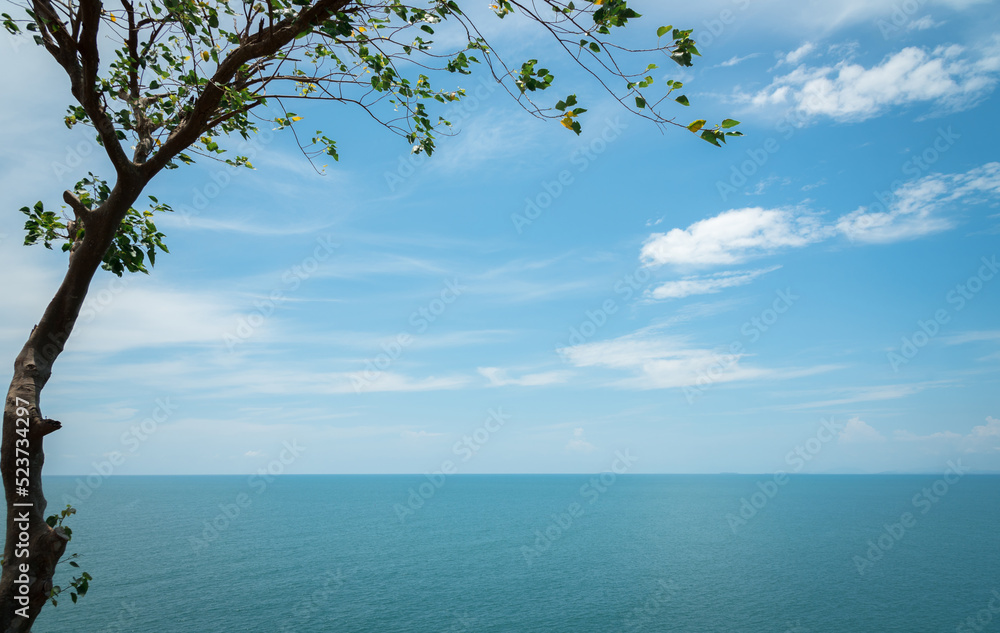 blue sky and sea view with tree.
beautiful blue sky with sea view . blue sky and sea view with tree.
beautiful blue sky with sea view .