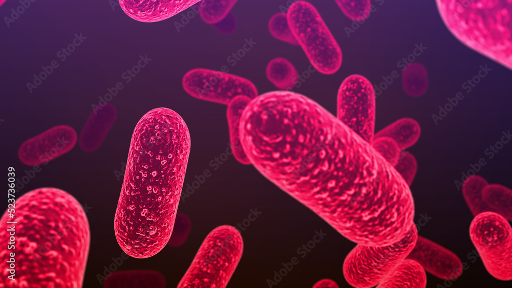Salmonella bacteria. S. typhi, S. typhimurium and other Salmonella, rod