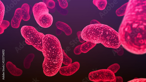Salmonella bacteria. S. typhi, S. typhimurium and other Salmonella, rod-shaped bacteria, the causative agents of enteric typhus and food toxic infection salmonellosis	 photo