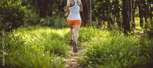 Photography Trail runner running in summer forest trail