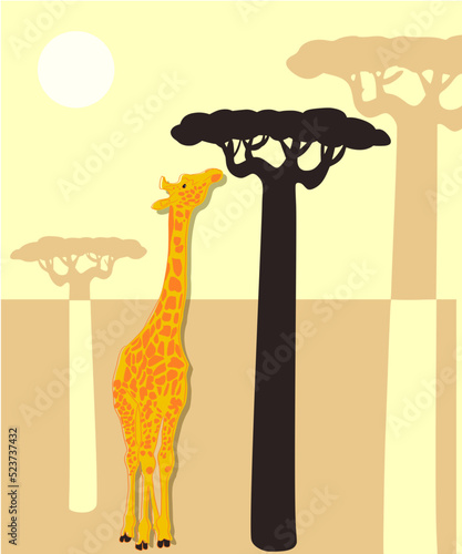 La girafe mangeant, série les animaux