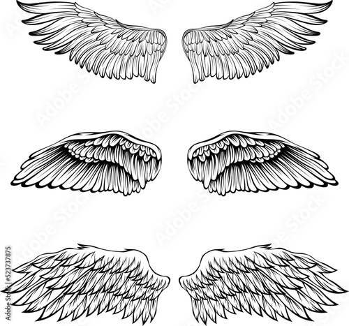 Bird wings vector illustration tattoo style. Hand drawn design element.