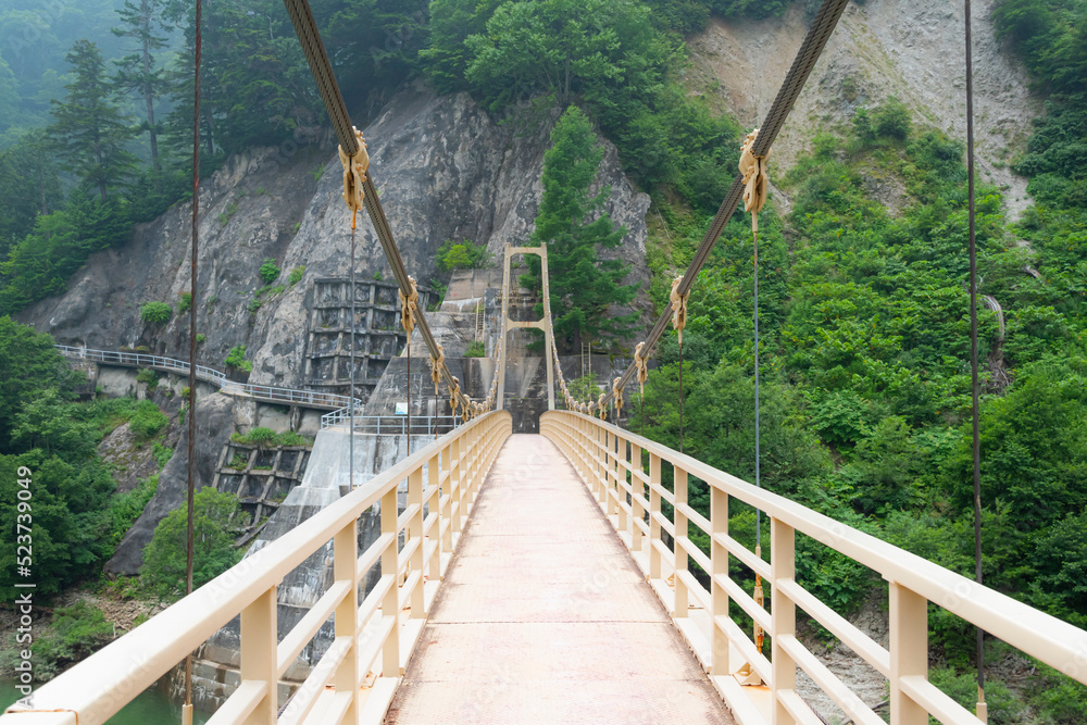 Obraz premium 橋, 建築, 一時的中止, 旅行, 水, 川, 空